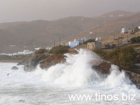 thalassa 295